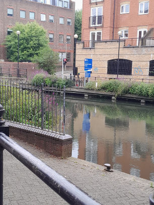 River Kennet in Reading